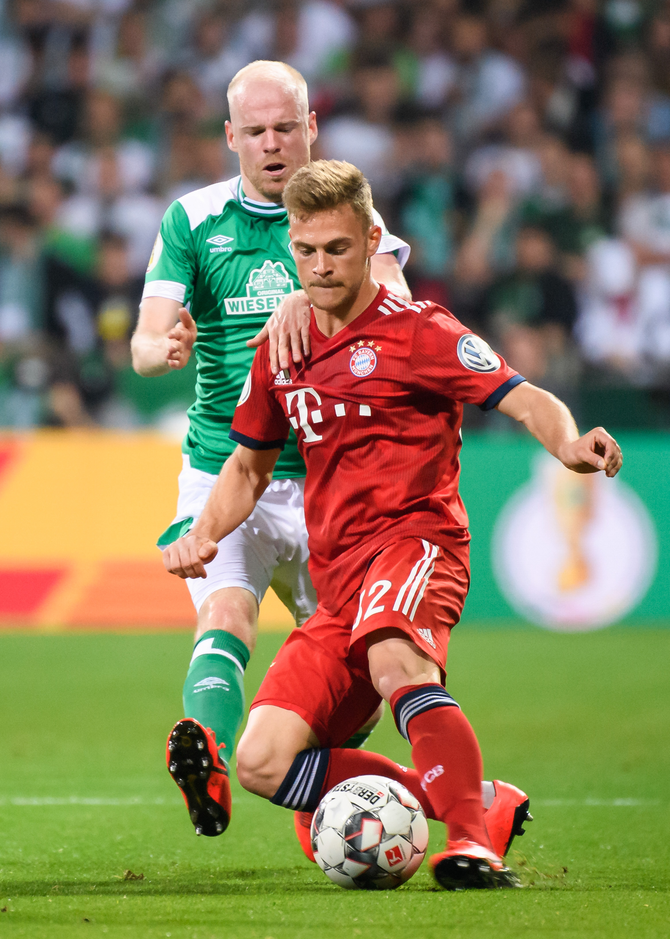 只为引进贾 只为引进贾