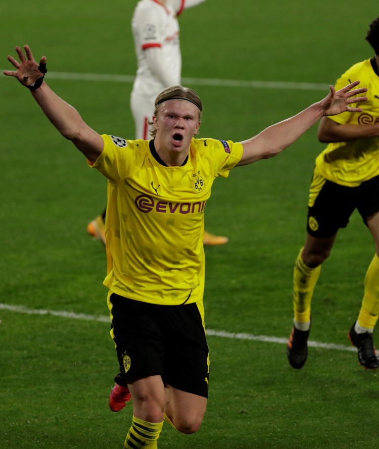 引入菲利克 引入菲利克